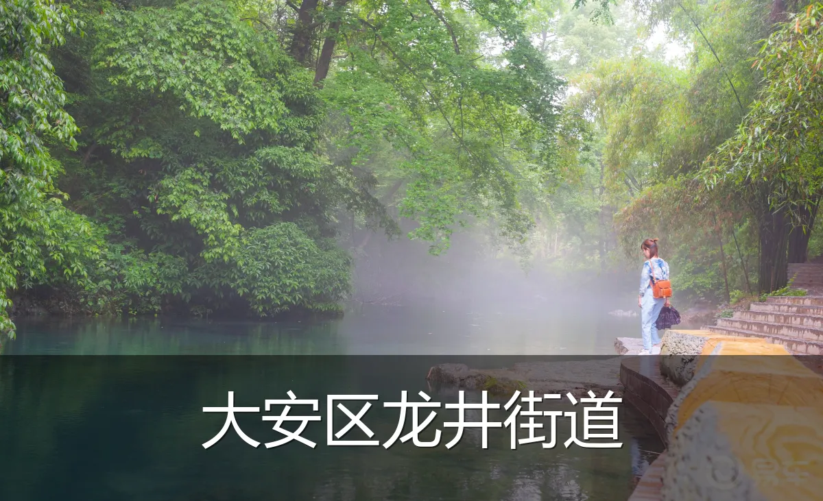 大安区龙井街道